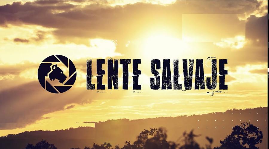 Lente Salvaje - Serie de TV