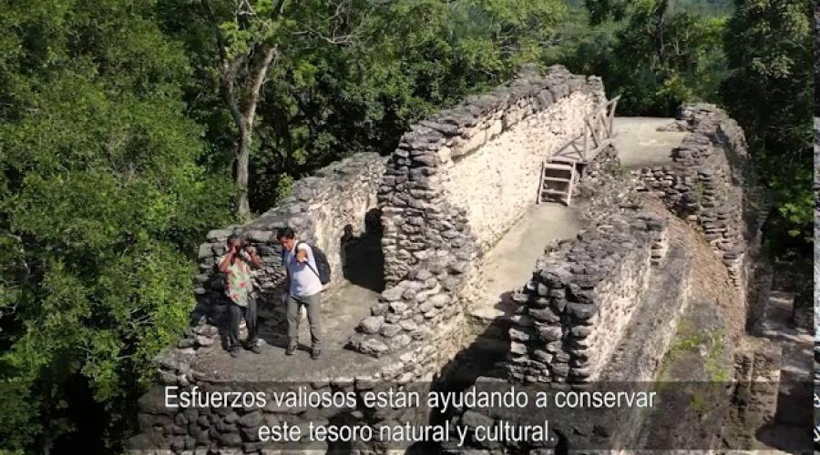 Reseva de la Biósfera Maya - USAID